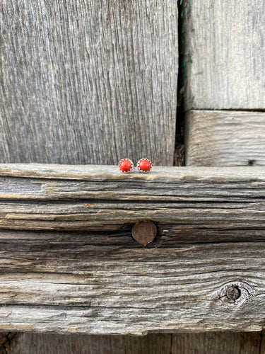 Red Coral Studs