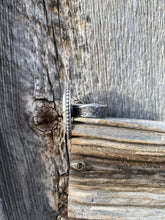 Load image into Gallery viewer, Chicken Track Jasper Ring Size 8 1/4