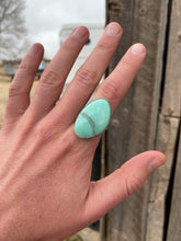 Load image into Gallery viewer, Desert Bloom Variscite Ring Size 10