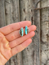 Load image into Gallery viewer, Campitos Earrings E0336