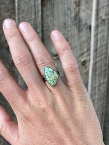 Nautilus Variscite Ring R0291