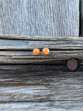Load image into Gallery viewer, Orange Spiny Oyster Earrings E0090