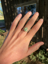 Load image into Gallery viewer, Nautilus Variscite R0468