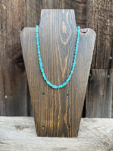 Load image into Gallery viewer, Campitos Turquoise Necklace N0745