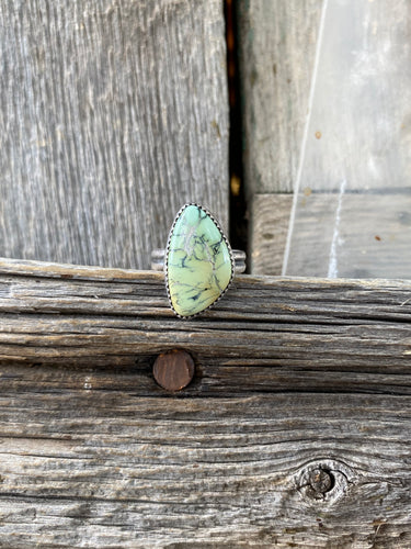 Nautilus Variscite Ring R0291
