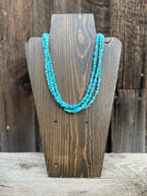 Load image into Gallery viewer, Campitos Turquoise Necklace N0745