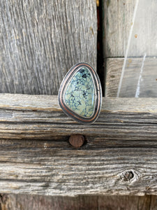 Nautilus Variscite Ring R0290