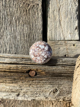 Load image into Gallery viewer, Wild Horse Pin