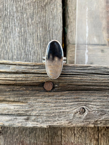 Petrified Palm Wood Ring Size 7 3/4