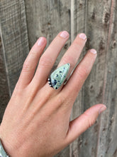 Load image into Gallery viewer, Nautilus Variscite Ring R0288