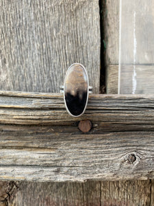 Petrified Palm Wood Ring Size 7 3/4