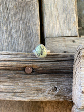 Load image into Gallery viewer, Nautilus Variscite R0468
