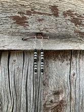 Load image into Gallery viewer, Black And Silver Earrings E0231