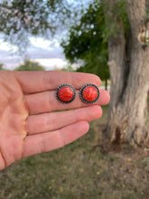 Load image into Gallery viewer, Red Spiny Oyster Earrings E0243