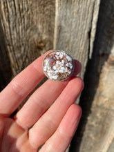 Load image into Gallery viewer, Wild Horse Pin