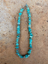 Load image into Gallery viewer, Campitos Turquoise Necklace N0719