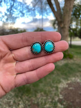 Load image into Gallery viewer, Campitos Earrings E0320