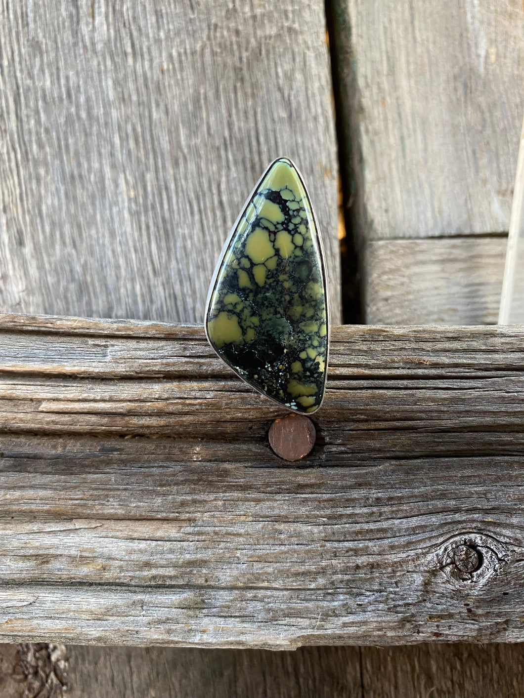 Nautilus Variscite Ring Size 6 3/4 R0325