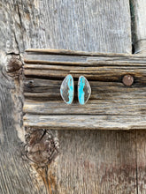 Load image into Gallery viewer, Campitos Earrings E0336