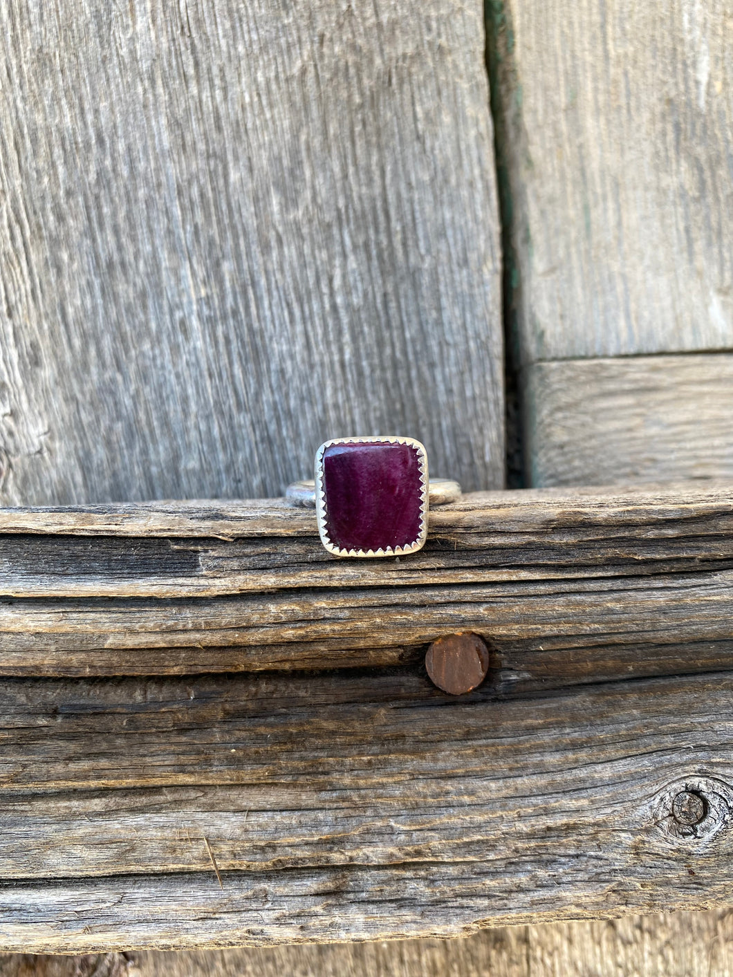 Purple Spiny Oyster Size 7.5 R0357