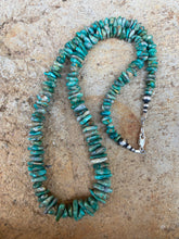 Load image into Gallery viewer, Turquoise Necklace N0699