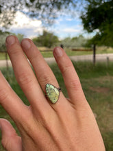 Load image into Gallery viewer, Nautilus Variscite Ring R0291