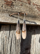 Load image into Gallery viewer, Petrified Palm Wood Earrings