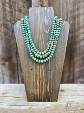 Load image into Gallery viewer, Campitos Turquoise Necklace N0900