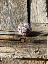 Load image into Gallery viewer, Wild Horse Pin