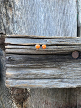 Load image into Gallery viewer, Orange Spiny Oyster Earrings E0090