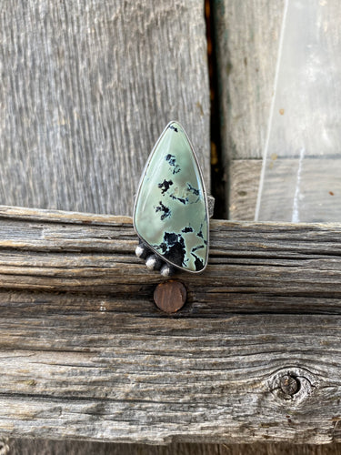 Nautilus Variscite Ring R0288