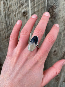 Petrified Palm Wood Ring Size 7 3/4