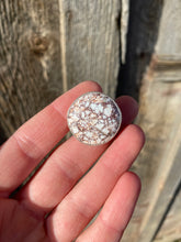 Load image into Gallery viewer, Wild Horse Pin