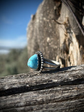 Load image into Gallery viewer, A0025