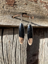 Load image into Gallery viewer, Petrified Palm Wood Earrings