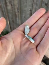 Load image into Gallery viewer, Campitos Earrings E0336