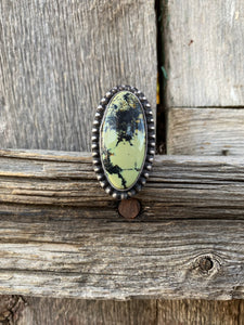 Nautilus Variscite Ring Size 7.5 R0426