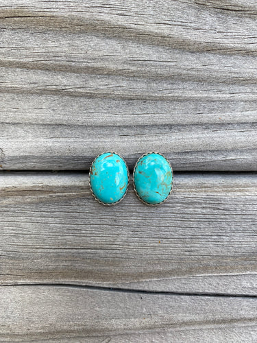 Turquoise Earrings E0134