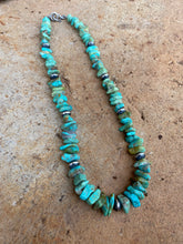 Load image into Gallery viewer, Campitos Turquoise Necklace N0720