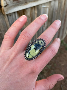 Nautilus Variscite Ring Size 7.5 R0426