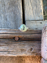Load image into Gallery viewer, Nautilus Variscite R0468