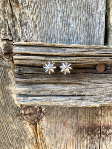 Silver Burst Earrings E0145
