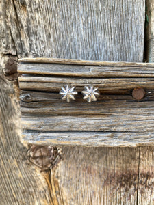 Silver Burst Earrings E0145