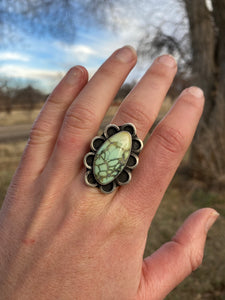 Nautilus Variscite Ring Size 8 R0414