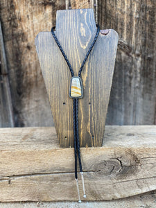 Picture Jasper Bolo N0473