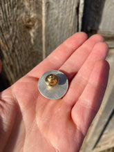 Load image into Gallery viewer, Wild Horse Pin