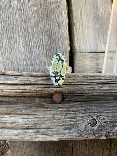 Nautilus Variscite Ring Size 7.5 R0329