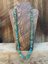 Load image into Gallery viewer, Long Turquoise Necklace N0698