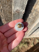 Load image into Gallery viewer, Wild Horse Pin